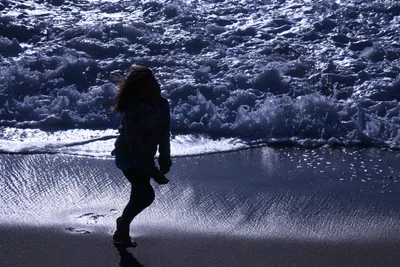 DSC_0497 (Large).JPG